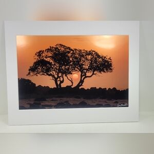 Sunset Silhouette Art Print Lee Scott Light Source